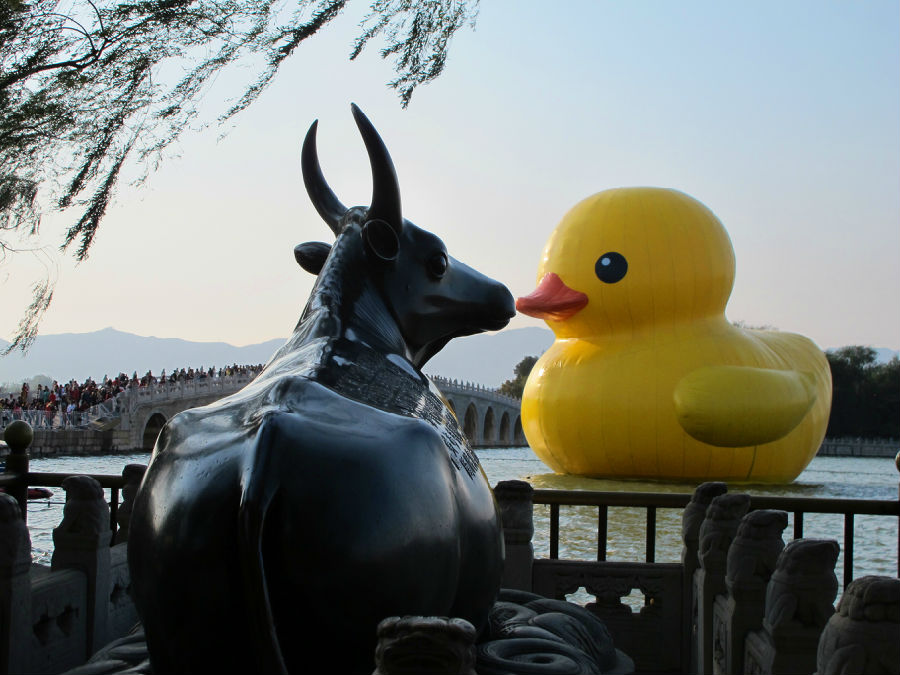 研究所杨晶晶报送的《相聚》获自然环境类单幅二等奖