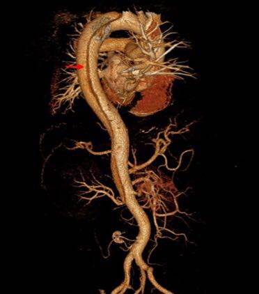 IMG_1816.JPG IMG_1816.JPG