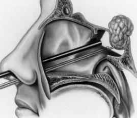 图片46.jpg 图片46.jpg